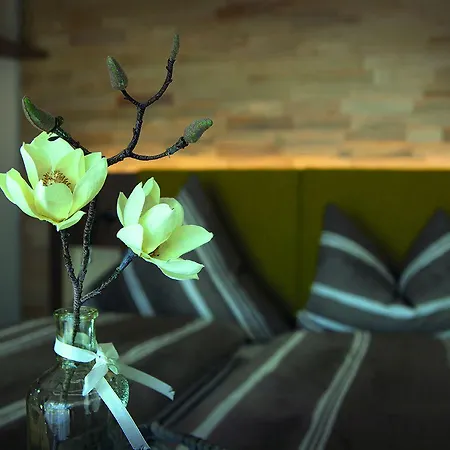 Ξενοδοχείο Adler