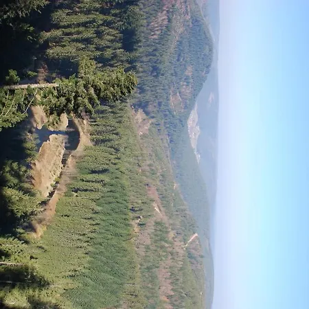 Ξενοδοχείο Adler Φρόιντενσταντ