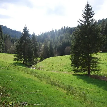 Adler Ξενοδοχείο