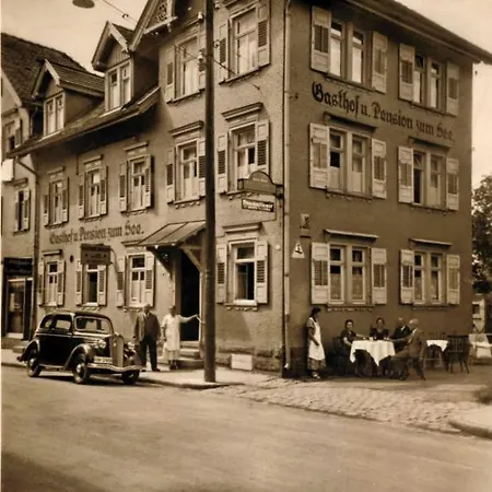 Adler 3* Freudenstadt